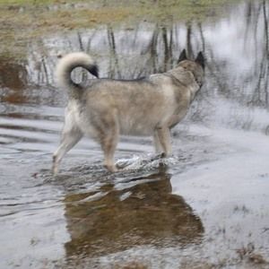 Meet your Posher, Tara